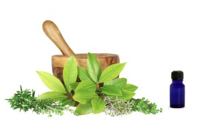 leaves mortar and pestle